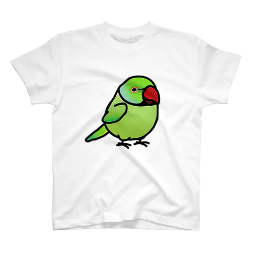 Chubby Bird　ワカケホンセイインコ　グリーン スタンダードTシャツ