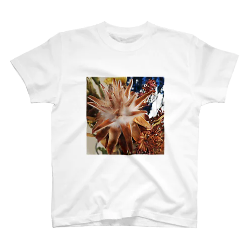 DRY FLOWER スタンダードTシャツ