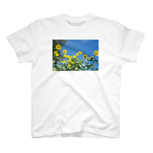 SUMMERTシャツ スタンダードTシャツ