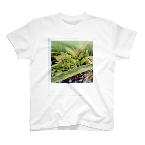 polaroid n°4 スタンダードTシャツ