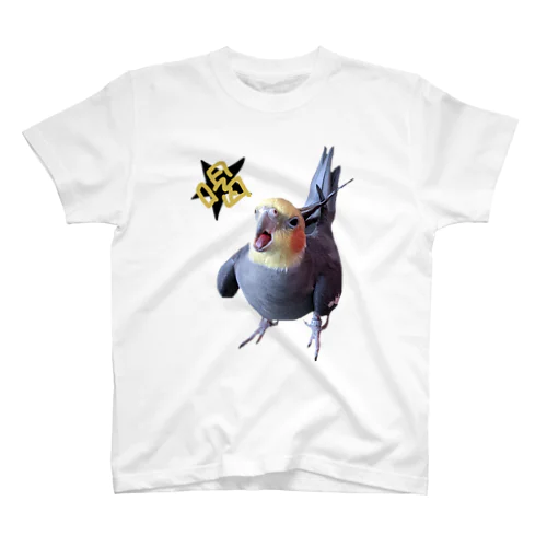 喝をいれられたいあなたへ🐥 スタンダードTシャツ