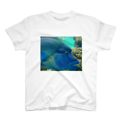 Fish! スタンダードTシャツ