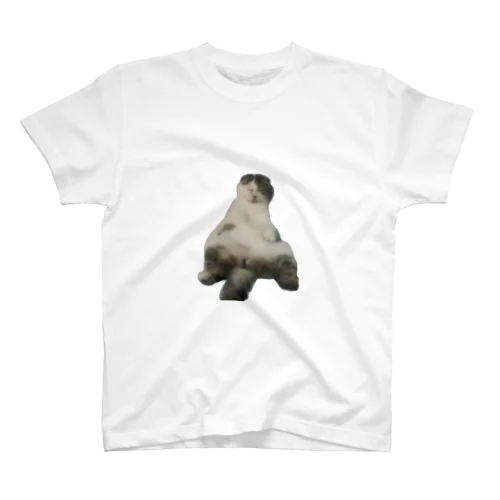 No Cats No Life Regular Fit T-Shirt