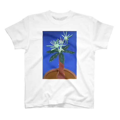 多肉植物 d スタンダードTシャツ