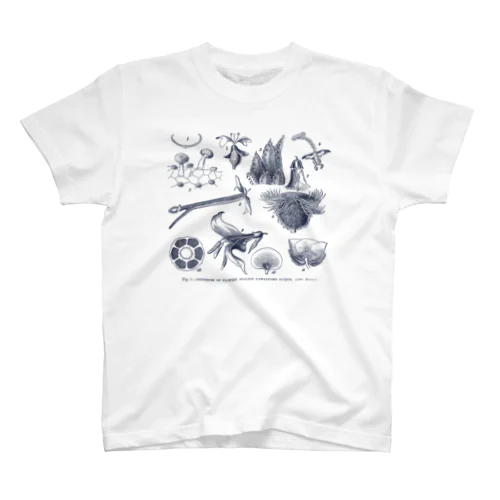 歓迎されない訪問者に対しての花の防御  - The British Library Regular Fit T-Shirt