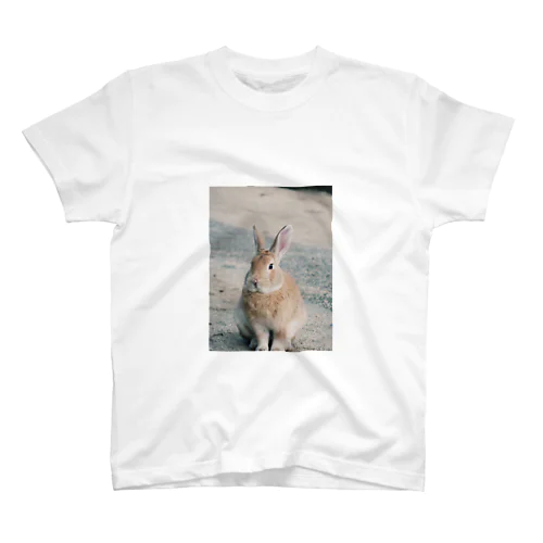 Kani（うさぎ）メイン スタンダードTシャツ