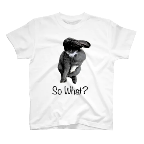 So What? Regular Fit T-Shirt