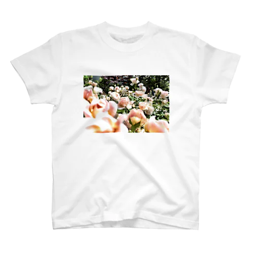 ヴィンテージピンクの薔薇 Regular Fit T-Shirt