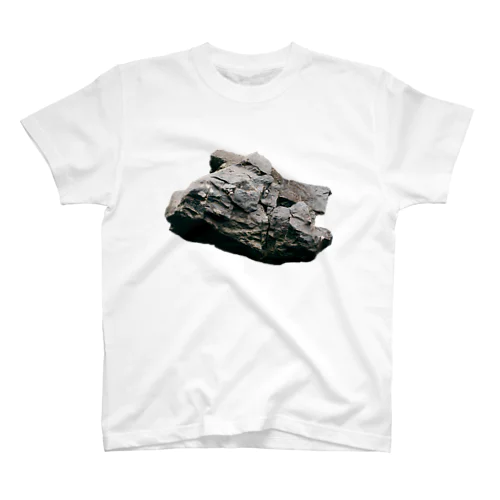 岩 Regular Fit T-Shirt