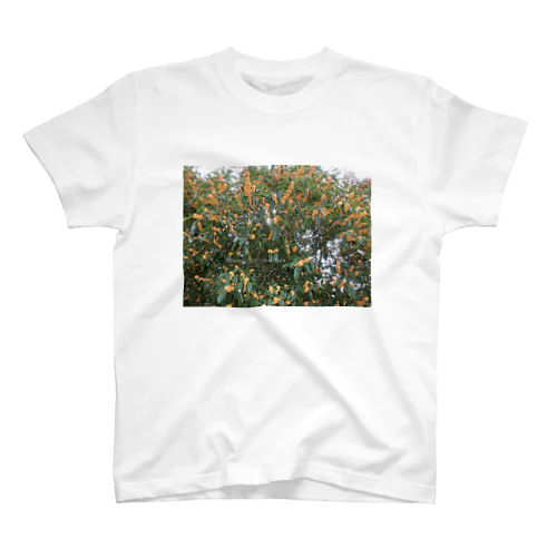 光景　sight740　キンモクセイ　金木犀　花 FLOWERS　壁紙 Regular Fit T-Shirt