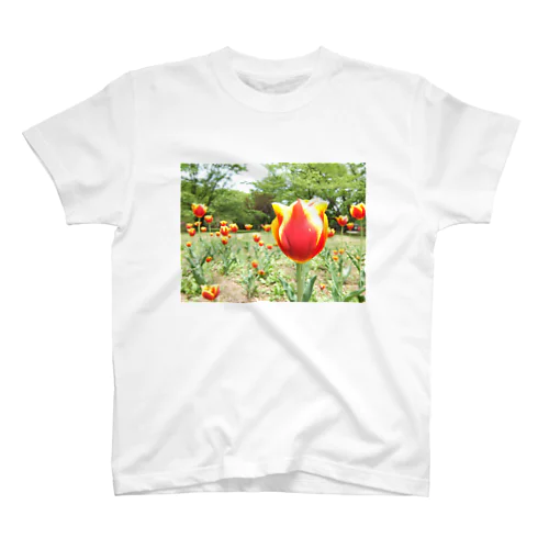  Tulip 티셔츠
