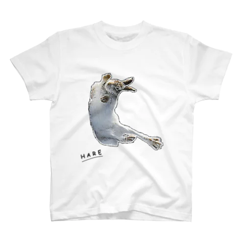 HARE スタンダードTシャツ