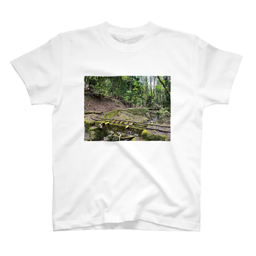 ヘアピンカーブのある森林鉄道 Regular Fit T-Shirt