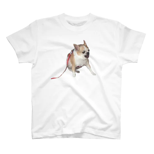 犬 スタンダードTシャツ