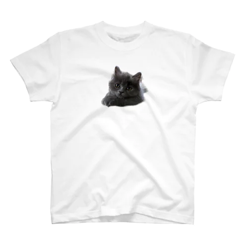 子猫のスアちゃん Regular Fit T-Shirt