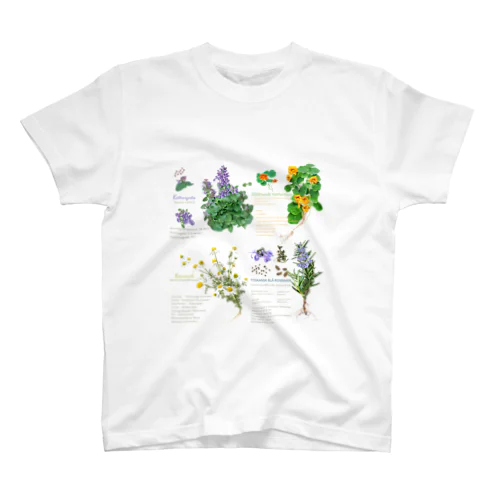 Herbs スタンダードTシャツ