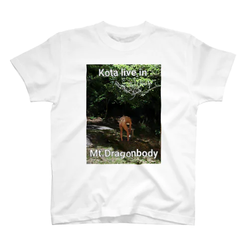 Mt. Dragonbody Regular Fit T-Shirt
