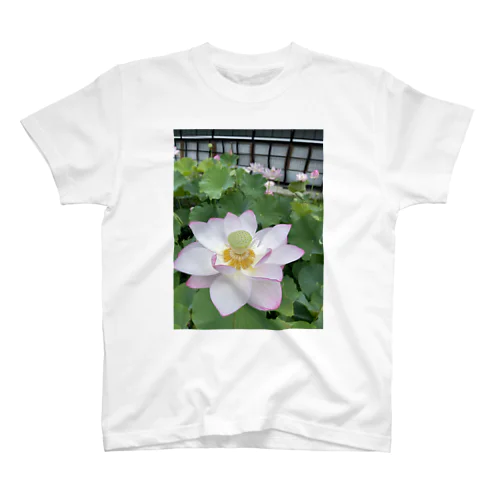 Lotus flower スタンダードTシャツ