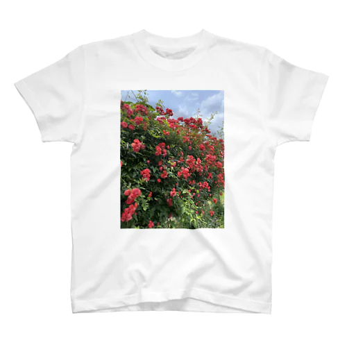 rose garden🌹 Regular Fit T-Shirt