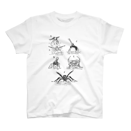 さまざまな異なるクモの舞踏 Regular Fit T-Shirt