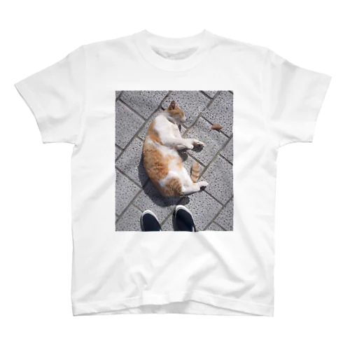 余韻に浸るのらねこ スタンダードTシャツ