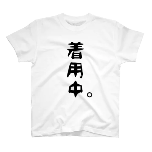 着用中。 スタンダードTシャツ