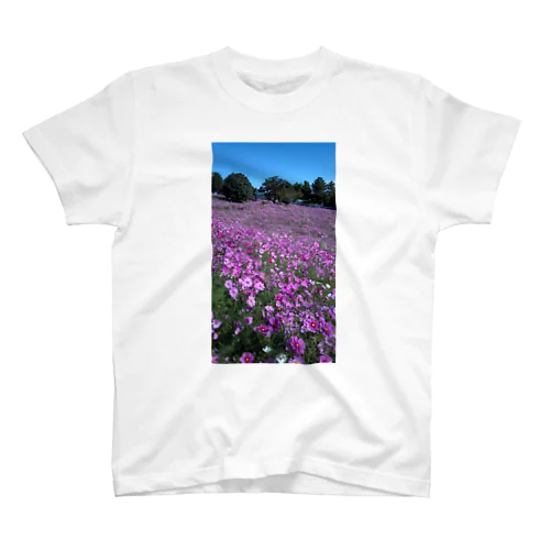 秋桜 スタンダードTシャツ