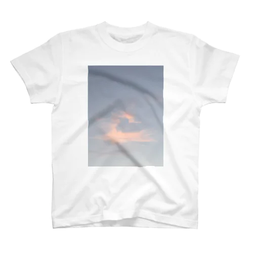 変わった雲01 Regular Fit T-Shirt
