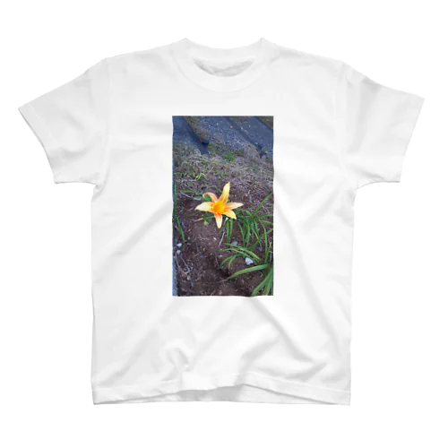 hana Regular Fit T-Shirt