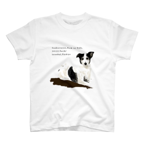 トルコの野良犬さん（スルタンアフメト・モスク） Regular Fit T-Shirt