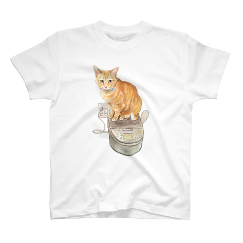 Keep cats warm Regular Fit T-Shirt