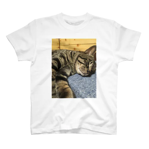 ねこ スタンダードTシャツ