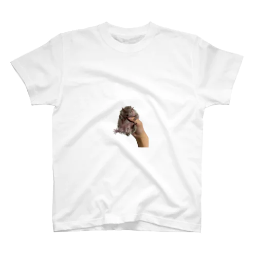 ヒメハリテンレックのココちゃん Regular Fit T-Shirt