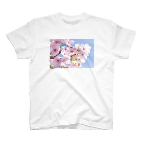 Sakura Regular Fit T-Shirt