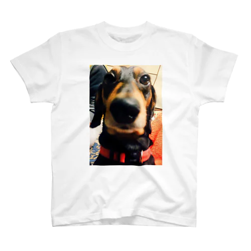 うちの犬 スタンダードTシャツ