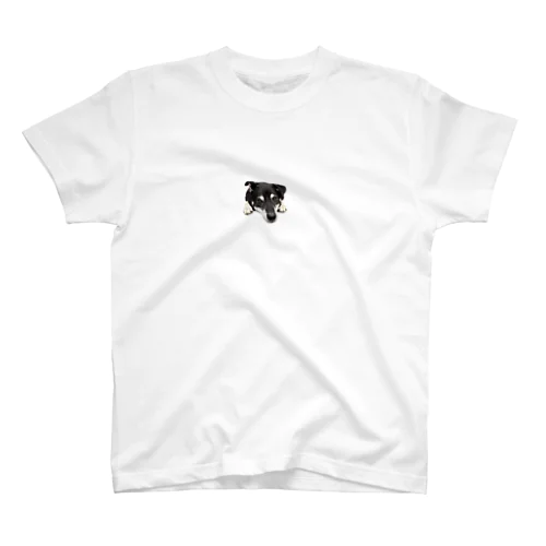 いぬくん Regular Fit T-Shirt