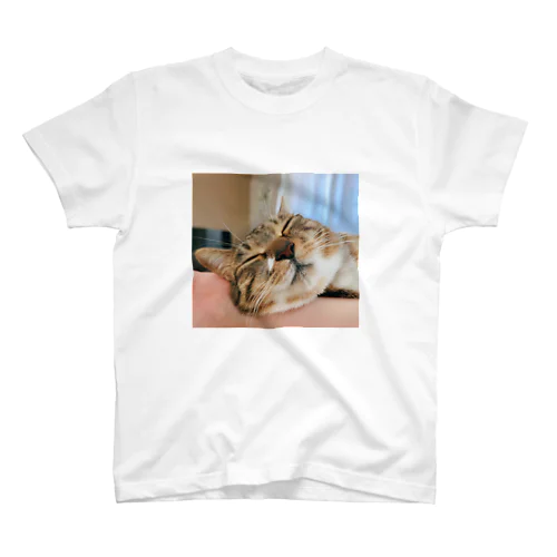 うちの猫「休日の二度寝編」 Regular Fit T-Shirt
