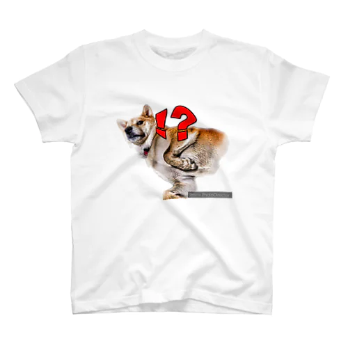 柴犬のいる生活 Regular Fit T-Shirt