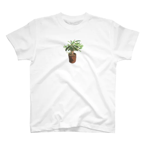 Pachypodium densiflorum Regular Fit T-Shirt