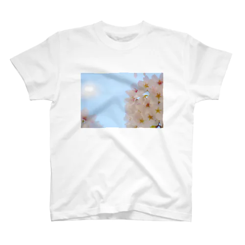 桜 スタンダードTシャツ