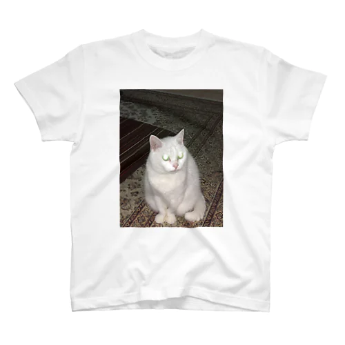 発光猫 Regular Fit T-Shirt