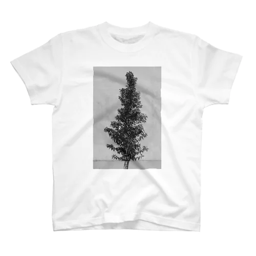 壁際の木 Regular Fit T-Shirt