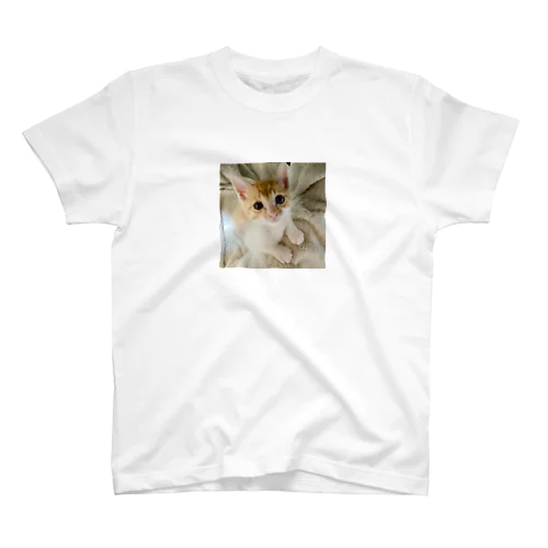 保護猫ちゃん Regular Fit T-Shirt