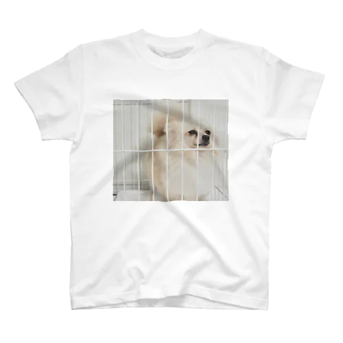 シンプルかわいいポメラニアンのうる(実写の犬) Regular Fit T-Shirt