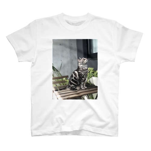 miwaにゃん Regular Fit T-Shirt