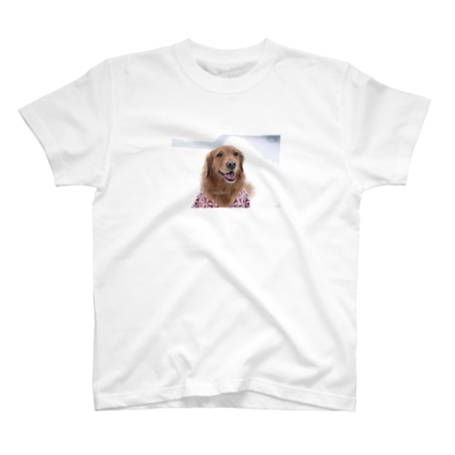 やさしいゴールデンモカ Regular Fit T-Shirt