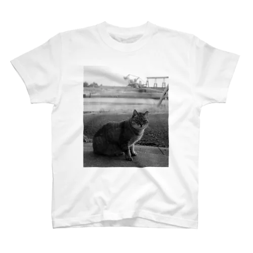 池島の猫 スタンダードTシャツ