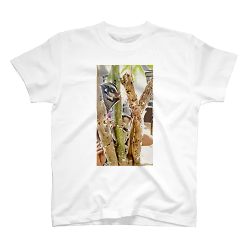 フクロモモンガ姉妹で木登り Regular Fit T-Shirt