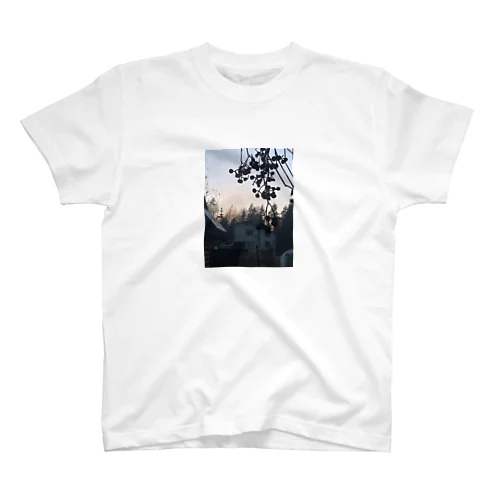 ダーチャの木の実 スタンダードTシャツ