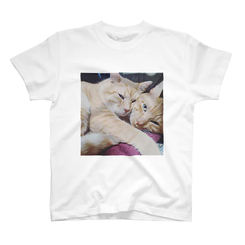 うち猫自慢 スタンダードTシャツ
